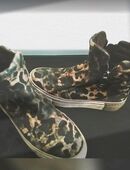 Damenschuhe Stiefeletten Gabor Größe 36 in 88521