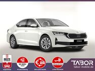 Skoda Octavia, Lim TDI 115 Selec vEHK ViC, Jahr 2024 - Kehl