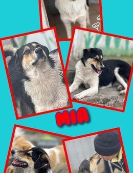 Hübsche Mia wartet aufs happyend! - Nürnberg