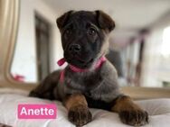 Anette - im Pappkarton vor der Tür - Berlin