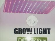 Grow Light Led full spectrum - Leipzig