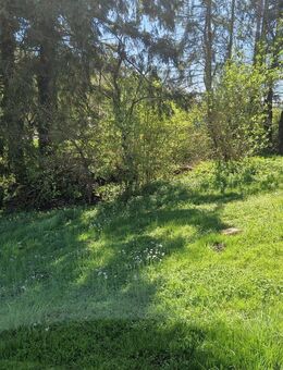 ++++EINFAMILIENHAUS MIT GROSSEM GARTEN UND SEPARATEM APARTMENT++++ - Weilrod