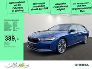 Skoda Superb, 2.0 TDI Combi Selection P, Jahr 2024 - Wangen (Allgäu)