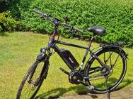 Fischer E Bike ETH 1920 RH 51 cm - Bockhorn (Niedersachsen)