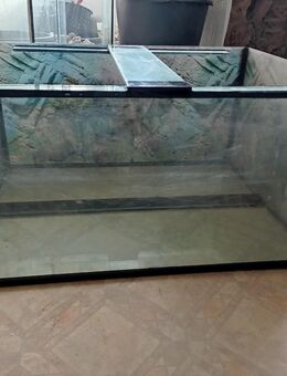 Aquarium 100 cm x 75 cm x 50 cm / 375 Liter - Oberschöna