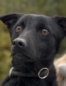 Neo kleines Herz sucht Geborgenheit! - Kissing