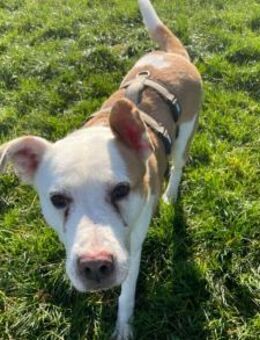 Wer schenkt dem schönen DJ sein Herz? - München