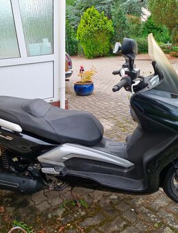 Roller Moped TGB X Large 300 ccm 23PS TÜV Neu - Trebbin
