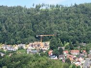 Blick auf die Altstadt von Hann. Münden und Sonne von früh bis spät - Hannoversch Münden Zentrum