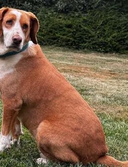 Sarah - Weilmünster