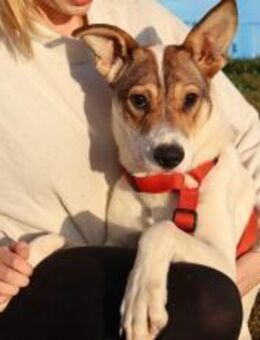 Wer schenkt Daria das Glück? - München