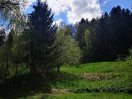 Gemütliche 2 Zimmer Wohnung in angenehmer und ruhiger Wohnlage Nähe Kempten. - Wiggensbach