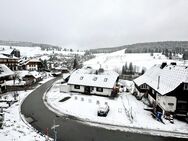 Großzügige 4-Zi. Wohnung in Todtnauberg mit tollem Ausblick - als Ferienwohnung geeignet! - Todtnau