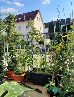 Nachhaltig wohnen mit Stil - KfW 40 Maisonette mit Balkon und Stellplatz - Parsberg