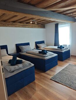 Stylische Ferienwohnung im Herzen Forchheims - Forchheim (Bayern)
