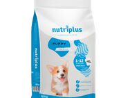 2-fach zooPunkte auf Nutriplus Trockenfutter - Welpe 15 kg