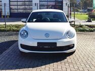 VW Beetle Lim. 1.2 TSI 77kW/105 PS - Kalkar