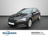 Skoda Superb, 1.5 TSI Combi PAR, Jahr 2024 - Simmern (Hunsrück)