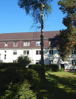 Große 3-Zimmerwohnung in zentraler Lage - Strausberg