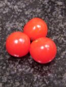 Johannisbeertomate - Wildtomate in 70569