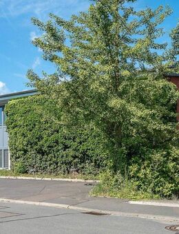 Haus mit 2 (oder 3) Wohnungen, Halle & Büros, zum Wohnen & Arbeiten o. vermieten, Pool & Gartensauna - Taunusstein