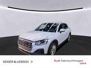 Audi Q2, 35 TFSI PLUS 17ZOLL, Jahr 2023 - Linsengericht