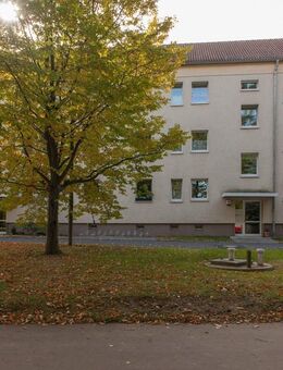 3-Raum-Wohnung frisch renoviert - Glauchau