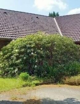 EH0089 Einfamilienhaus mit 2 ELW - Hanstedt (Landkreis Harburg)