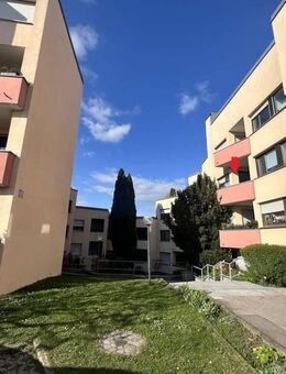 Teilsanierte und freistehende 2-Zimmer Wohnung mit West-Balkon am Ziegetsberg - Regensburg
