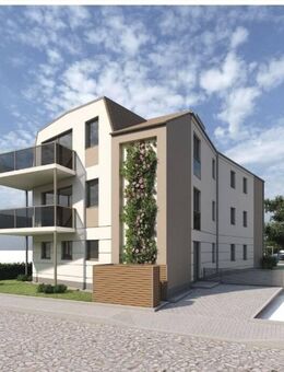 Eigentumswohnung mit großer Loggia in Greifswald Eldena - pro Etage NUR eine Wohnung, inkl. Fahrstuhl, Carport uvm. - Greifswald