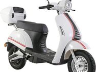 Luxxon E-Motorroller E3000Li, 45 km/h, bis zu 45 km Reichweite, Lithium-Ionen-Akku, mit Straßenzulassung