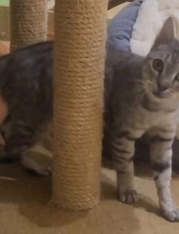 Liebe Tonja - Margetshöchheim