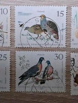 Briefmarken DDR 1968 Niederwild komplett gestempelt - Görlitz