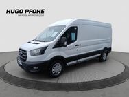 Ford Transit, 2.0 l Kastenwagen Trend 350 L3 EcoBlue, Jahr 2024 - Bad Segeberg