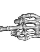 Gürtelschnalle Figur Kult Gothic Metall Statue Chopper Skeletto in 37632