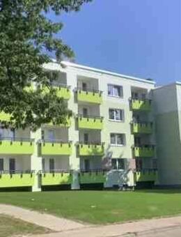 Schöne und renovierte 3-Raumwohnung in Baumheide zu vermieten. - Bielefeld