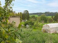 Ruhe und viel Platz für Mensch und Tier - ein Paradies mit großem Grundstück - Bonndorf (Schwarzwald)