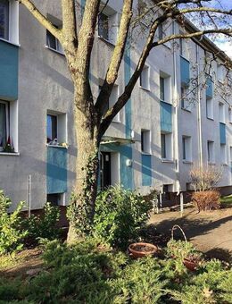 Willkommen Zuhause: 3 -Zimmer-Stadtwohnung - Hannover