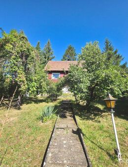 Ruhig gelegenes Grundstück mit Haus unterhalb des Jenzig - Jena