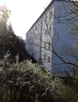 4-Raum-Wohnung mit charmanten Ausblick - Wurzbach