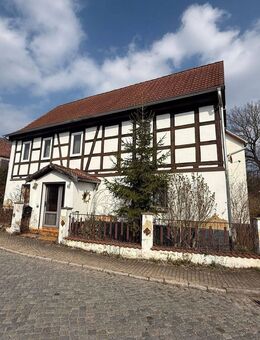 Sanierungsbedürftiges Einfamilienhaus mit Nebengebäude in ruhiger Ortsrandlage - Droyßig