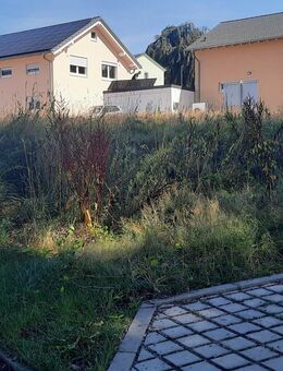 Preiswerte Alternative zum Dresdner Norden! - Großröhrsdorf