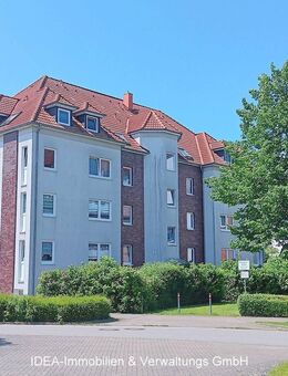 Vermietete 3-Raumwohnung in Stralsund - Viermorgen zu verkaufen! - Stralsund