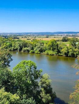 Rarität: Modernes Einfamilienhaus direkt am Main mit Taunusblick - Kelsterbach