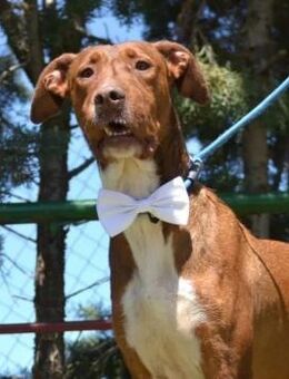 Kiko mag es lieber ruhig und gemütlich - Tübingen