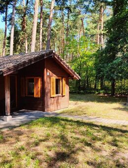 Ferienhäuser in der Colbitz-Letzlinger Heide - fester Wohnsitz möglich - Colbitz