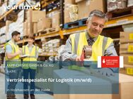 Vertriebsspezialist für Logistik (m/w/d) - Holzhausen (Haide)