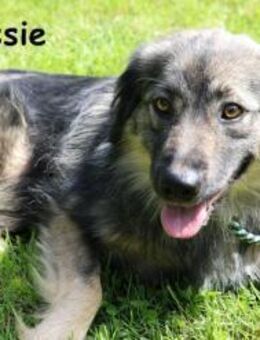 Cassie - hübsche, kleine ... - Kissing