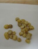 Paprika Samen Mix in 74653