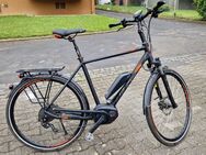 E-Trekking Bike KTM Macina FUN 10 - Walluf